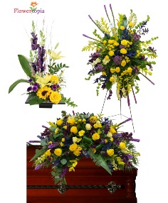 Category Image