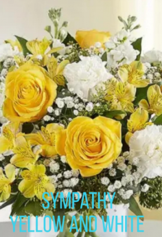 Category Image