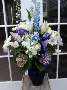 SYMPHONY IN BLUE in North Adams, MA | MOUNT WILLIAMS GREENHOUSES INC SYMPHONY IN BLUE in North Adams, MA | MOUNT WILLIAMS GREENHOUSES INC