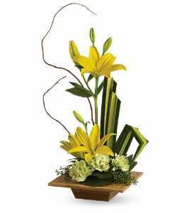 T*  Bamboo Artistry  T10N600A  in Fort Worth, TX | DAVIS FLORAL DESIGNS