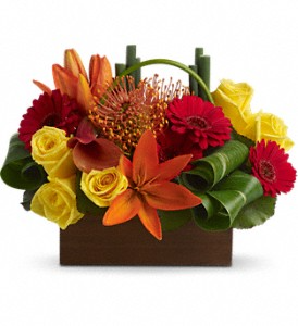T* Bamboo Get Away  T85-3A  in Fort Worth, TX | DAVIS FLORAL DESIGNS