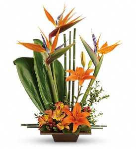 T*  Exotic Grace  T177-B  in Fort Worth, TX | DAVIS FLORAL DESIGNS