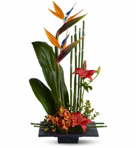 T* Paradise Found  T12Z111A  in Fort Worth, TX | DAVIS FLORAL DESIGNS