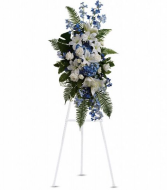 T246-2A Ocean Breeze Spray