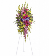 T249-3A Bright and Beautiful Spray