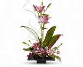 Zen Garden All,Mothers Day, Birthday, Sympathy