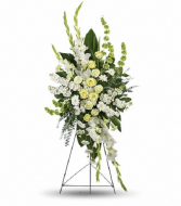 T274-1A Magnificant Life Spray