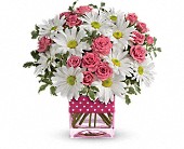 T52-3A Polka Dots & Posies All