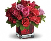 Mad About You Anniversary, Love