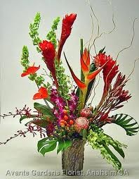TA-1 Tropical flowers in a modern arrangement Flowers and colors may vary in Philadelphia, PA | CARL ALAN FLORAL DESIGNS LTD. TA-1 Tropical flowers in a modern arrangement Flowers and colors may vary in Philadelphia, PA | CARL ALAN FLORAL DESIGNS LTD.