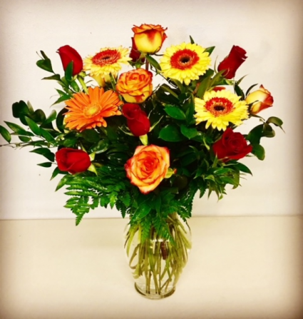 Ta-Da! Gerber Daisies with 12 Mix Colored Roses