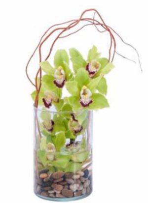 Table centrepiece orchids  Reception Flowers