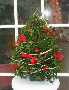 Table Top Boxwood Tree Arrangement