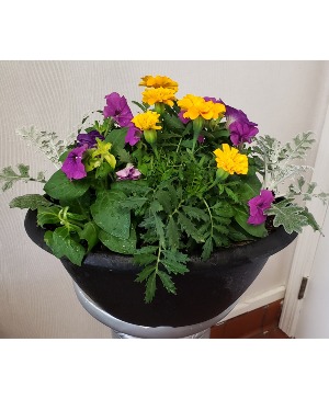 Table Top Planter 