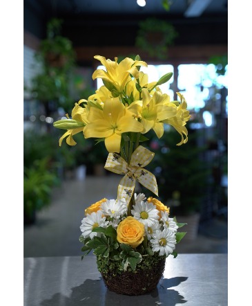 Table Top Topiary Locally Grown Lilies  in South Milwaukee, WI | PARKWAY FLORAL INC.