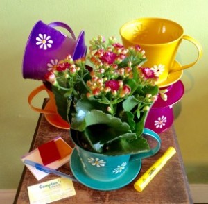 Take a Break Administrative Professional in La Porte, TX | Compton's Florist Take a Break Administrative Professional in La Porte, TX | Compton's Florist