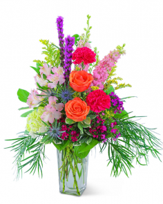 Category Image