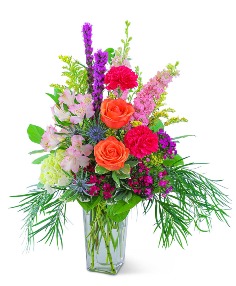 Category Image