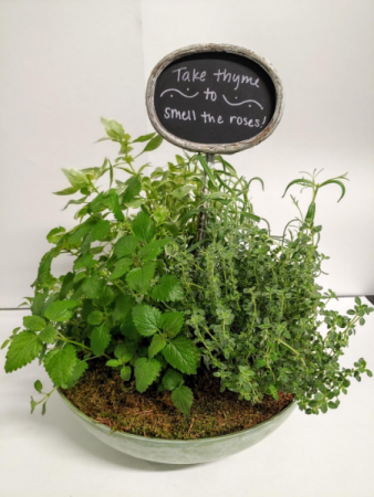 Take Thyme Herb Garden