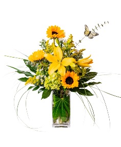 Category Image