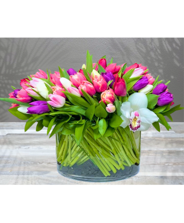 Tale of Tulips Arrangement in Henderson, NV | FLOWERS OF THE FIELD 