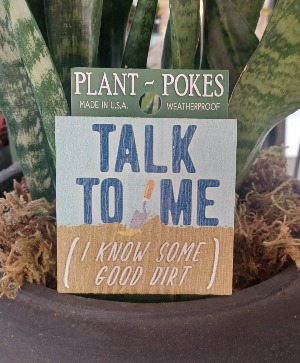 Talk To Me Plant Stake 