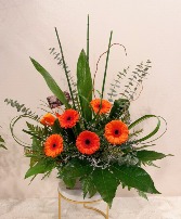 Tangerine Bliss Arrangement