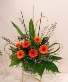 Tangerine Bliss Arrangement