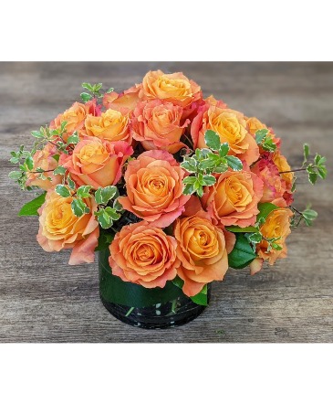 Tangerine Dream  Rose Arrangement  in San Rafael, CA | BURNS FLORIST