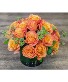 Tangerine Dream  Rose Arrangement 