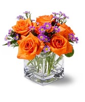 Tangerine Sky TF-WEB25 Arrangement