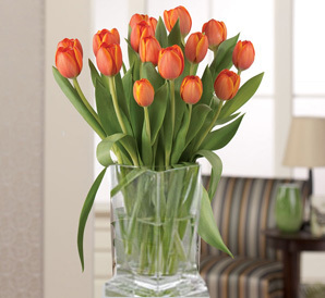 Tangerine Tulips vased