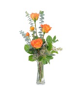 Tangerine Twist All Around Arrangement