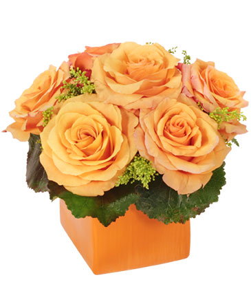 Tangerine Twist Roses Bouquet in Westlake, OH | Silver Fox Flowers