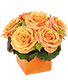 Tangerine Twist Roses Bouquet