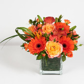 Tangerine Twist Vase Arrangement