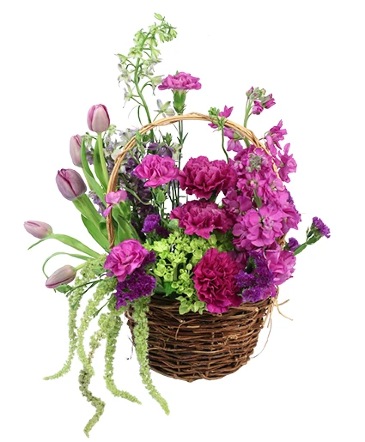 Tasteful Plums Basket Arrangement in Athol, MA | Tintagels Gate ~ Flowerland