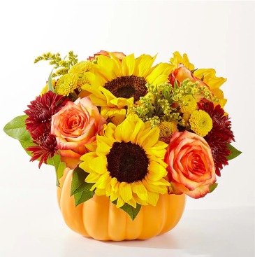 Tatiana Fall Pumpkin  in Vacaville, CA | Vior Floral Art