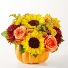 Tatiana Fall Pumpkin 