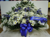 TB9 WHITE AND BLUE TRADITIONAL SYMPATHY SPRAY