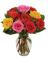 Te amo 12 color roses
