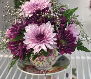 Tea Cup Spring