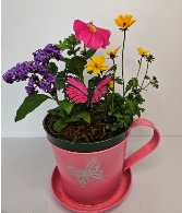 Tea Cup Planter planter