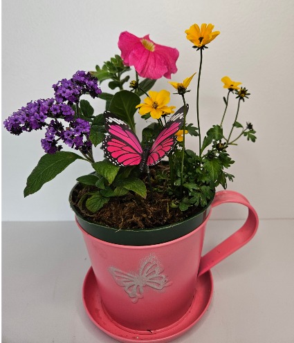 Tea Cup Planter planter