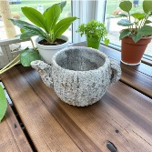 Tea Pot Planter 