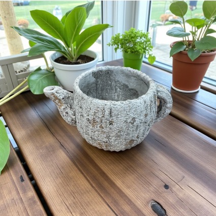 Tea Pot Planter