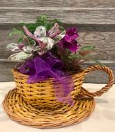 Tea & Violet Dish Garden Plants