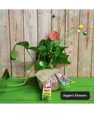 Teacher Appreciation Gift Green Plant