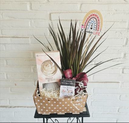 Teacher gift bundle with plant 