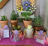 GIFTS  plants and product